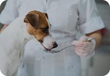 Модуль курса