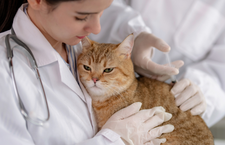 Модуль курса