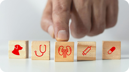 Иконки ветеринарной тематики